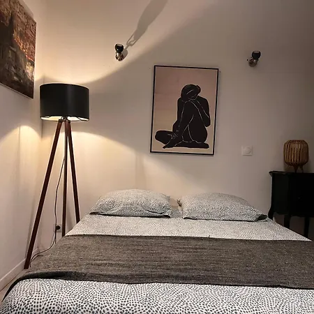 3- Le Figuier Mauve Appartement Poitiers