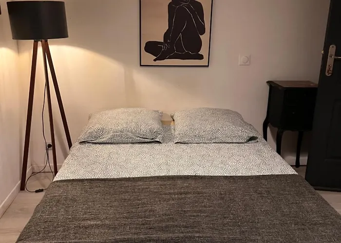 3- Le Figuier Mauve *