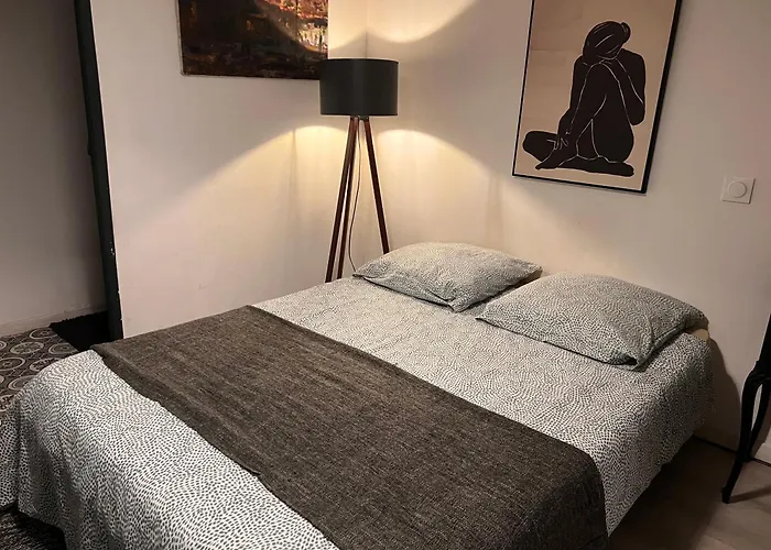 3- Le Figuier Mauve * Poitiers