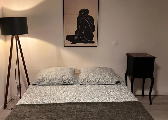 3- Le Figuier Mauve * Poitiers