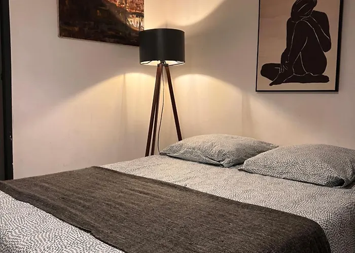 Appartement 3- Le Figuier Mauve *