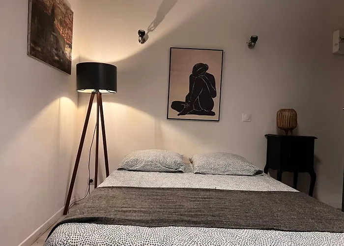 3- Le Figuier Mauve Appartement Poitiers