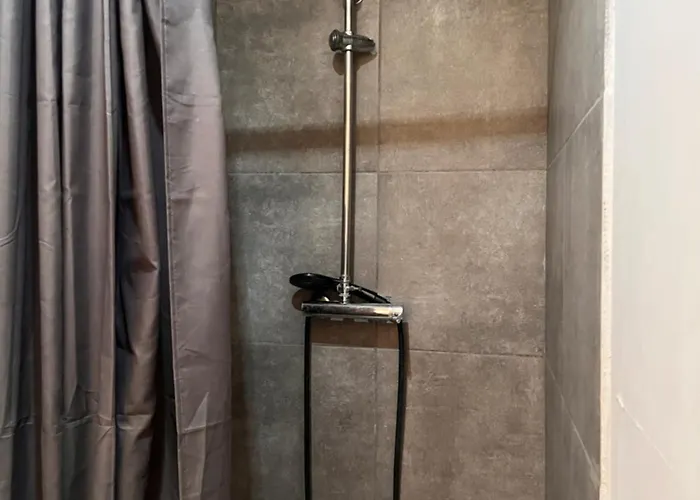 3- Le Figuier Mauve Appartement Poitiers