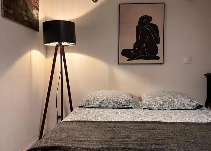 Appartement 3- Le Figuier Mauve *