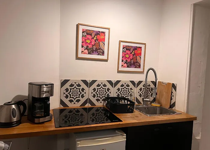 3- Le Figuier Mauve Poitiers