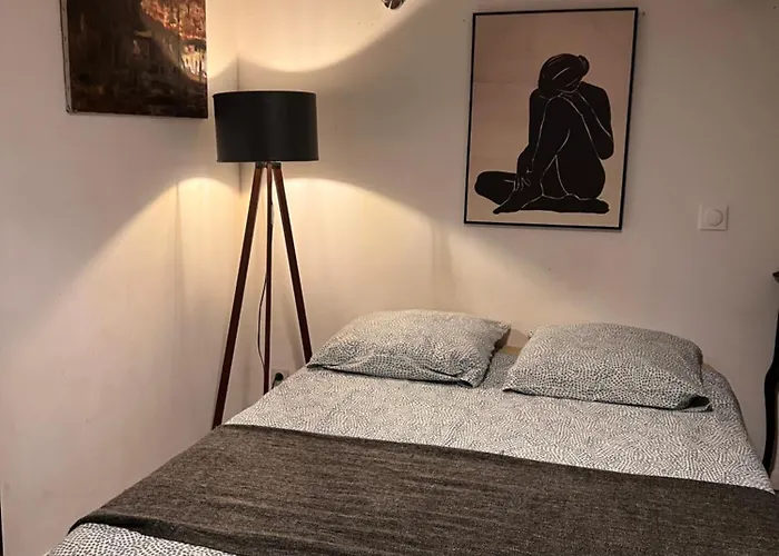 3- Le Figuier Mauve * Poitiers